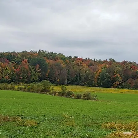 Cozy Country Farm Stay